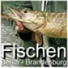 fischenbb